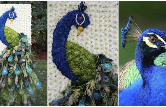 Peacock Wedding Theme Custom Event Design
